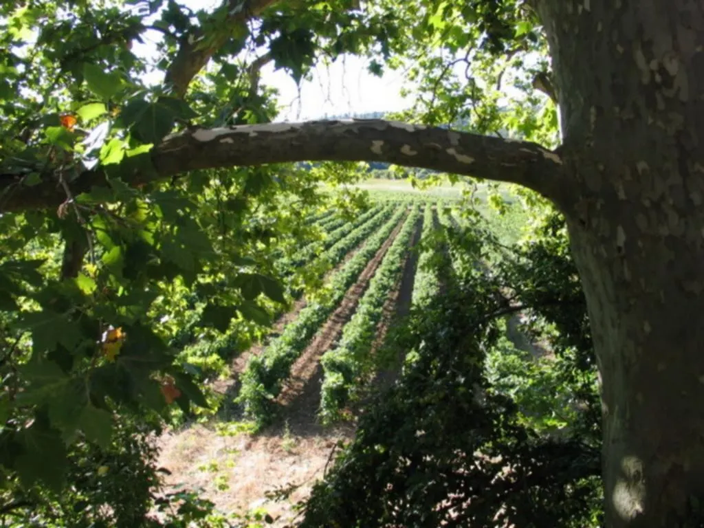 Domaine Saint Dominique Hotel Seillons-Source-d'Argens